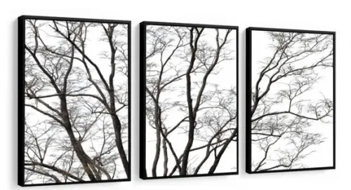Kit 3 Quadros Galhos Arvore Decoração De Sala Com Molduras