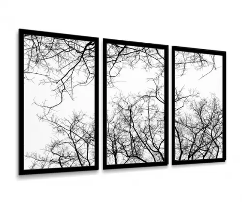 Kit 3 Quadros Galhos Preto e Branco Decoração Arvore Moldura
