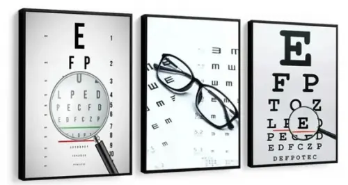 Kit 3 Quadros Oftalmologia Consultório Decoração Com Moldura