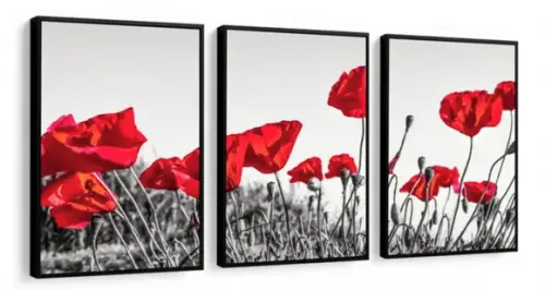 Kit 3 Quadros Papoulas Vermelhas Flores Decoração Molduras