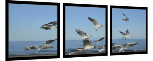 Kit 3 Quadros Praia Pássaros Mar Decoração Conjunto Molduras