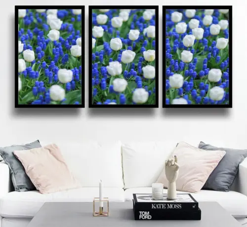 Kit 3 Quadros Tulipa Branca Decoração Flor Azul Com Molduras