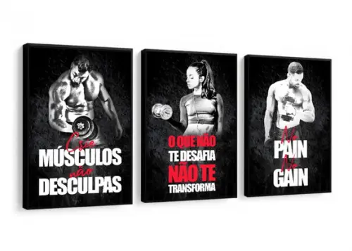Kit Quadros Decorativos Academia Musculação Fitness Moldura
