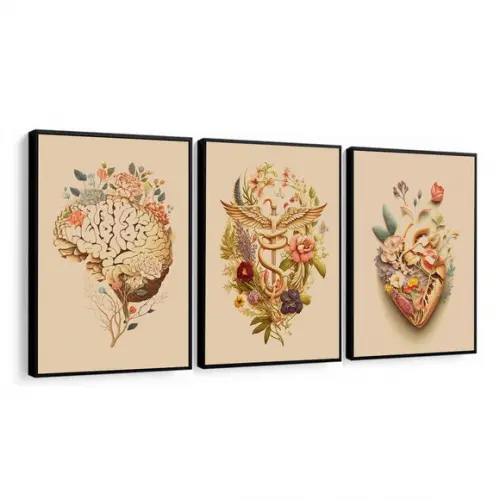 Kit Quadros Decorativos Anatomia Consultório Médico Moldura