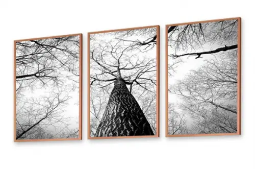 Kit Quadros Decorativos Arvore Galhos Preto e Branco Moldura