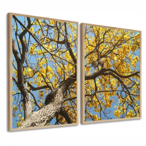 Kit Quadros Decorativos Arvore Folhagem Amarela Moldura