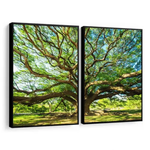 Kit Quadros Decorativos Arvore Verde Galhos Paisagem Moldura
