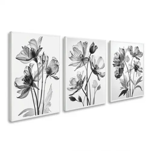 Kit Quadros Decorativos Flores Modernas com Moldura e Vidro