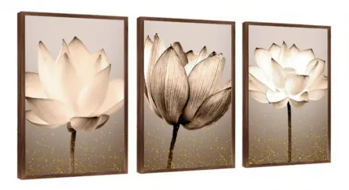 Kit Quadros Decorativos Flores para Sala Quarto com Moldura