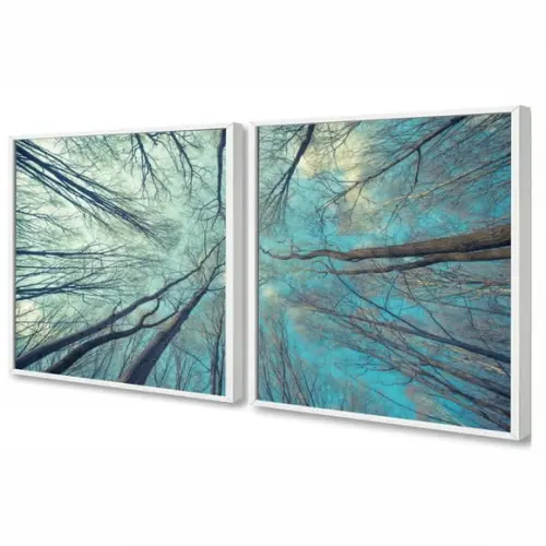 Kit Quadros Decorativos Galhos Céu Azul Paisagem Com Moldura