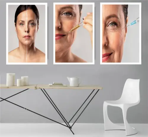 Kit Quadros Decorativos Harmonização Facial Estética Moldura