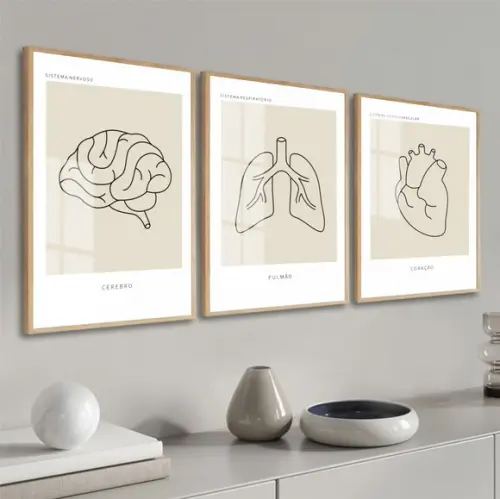 Kit Quadros Decorativos Medicina Consultório Anatomia Vidro
