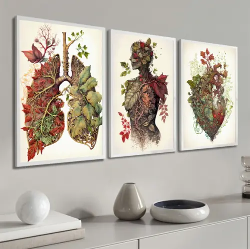 Quadro Decorativo Anatomia Humana Consultório Médico Moldura