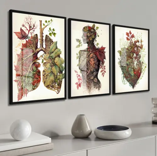 Quadro Decorativo Anatomia Humana Consultório Moldura Vidro