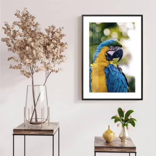 Quadro Decorativo Arara Paisagem Natureza Moldura e Vidro