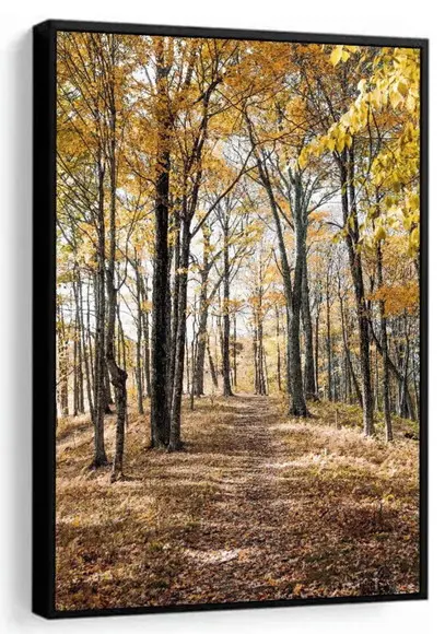 Quadro Decorativo Arvore Floresta Amarela Folhagem Moldura