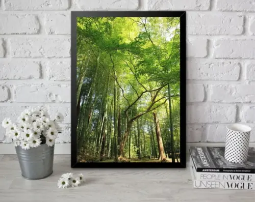 Quadro Decorativo Arvore Floresta Verde Folhagem Com Moldura