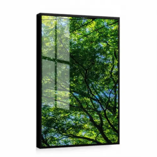 Quadro Decorativo Arvore Verde Folhagem com Moldura e Vidro