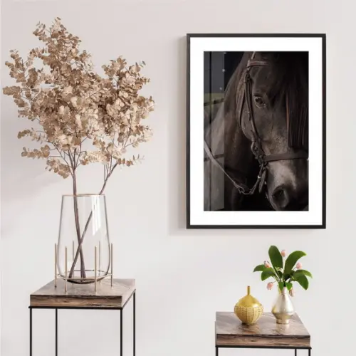 Quadro Decorativo Cavalo Para Sala Paspatur Moldura e Vidro