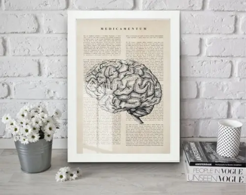 Quadro Decorativo Cérebro Humano Anatomia Com Moldura Vidro