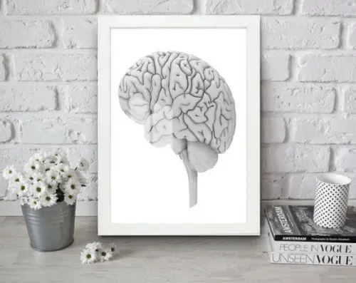 Quadro Decorativo Cérebro Medicina Anatomia Moldura e Vidro