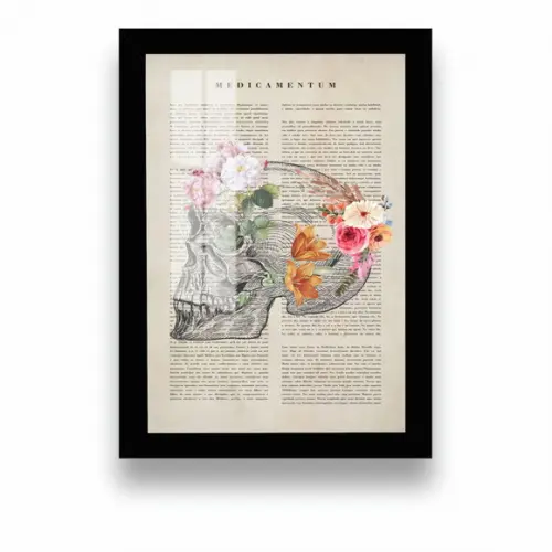 Quadro Decorativo Crânio Anatomia Medicina Com Moldura Vidro