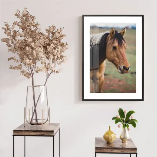 Quadro Decorativo De Cavalo Para Sala Quarto Moldura e Vidro