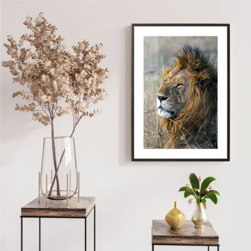 Quadro Decorativo Leão De Judá Moderno Com Moldura e Vidro