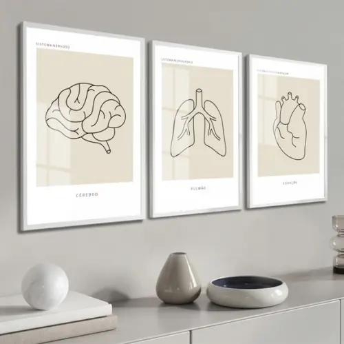 Quadro Decorativo Medicina Consultório Anatomia com Vidro