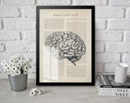 Quadro Decorativo Moderno Cérebro Anatomia Com Moldura Vidro