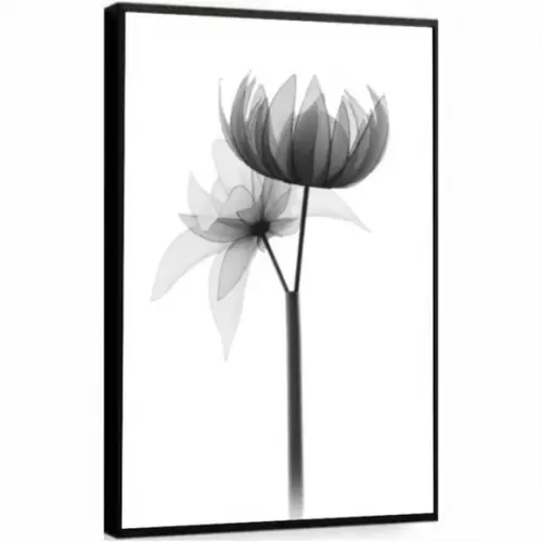Quadro Decorativo Moderno Flor Preto e Branco com Moldura