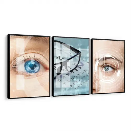 Quadro Decorativo Oftalmologia Consultório Moldura e Vidro