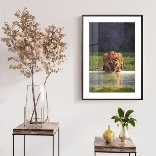 Quadro Decorativo Tigre Animal Para Sala Com Moldura e Vidro