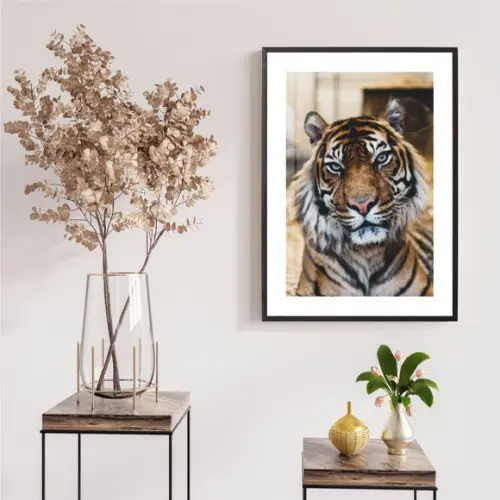 Quadro Decorativo Tigre Para Quarto Sala Com Moldura Vidro