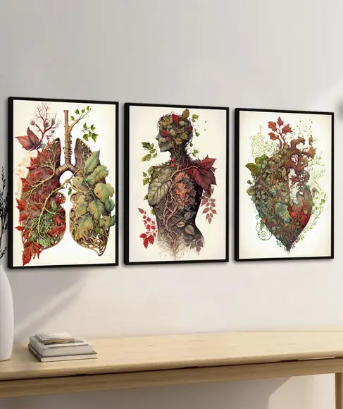 Quadros Decorativos Anatomia Consultório Medicina Moldura