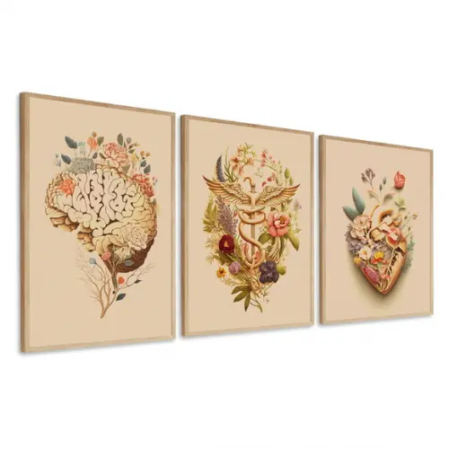Quadros Decorativos Anatomia Consultório Médico com Moldura