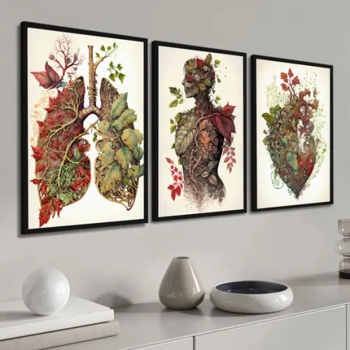Quadros Decorativos Anatomia Consultório Medicina Moldura