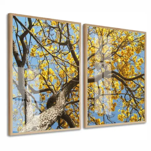 Quadros Decorativos Arvore Amarela Galhos Com Moldura Vidro