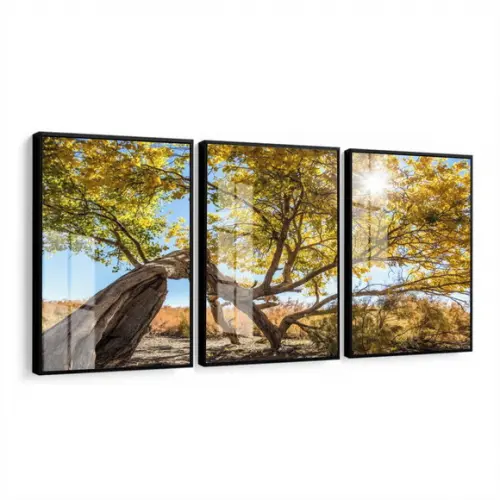 Quadros Decorativos Arvore Amarela Paisagem Moldura e Vidro