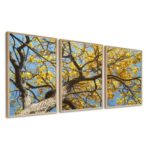 Quadros Decorativos Arvore Amarela para Sala Moldura 50 x 70