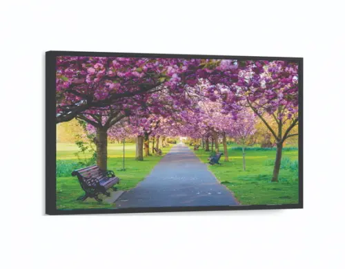 Quadros Decorativos Arvore Cerejeira Parque Paisagem Moldura