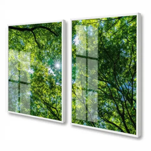 Quadros Decorativos Arvore Folhagem Verde Com Moldura Vidro