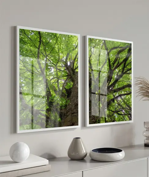 Quadros Decorativos Arvore Folhagem Verde Moldura e Vidro