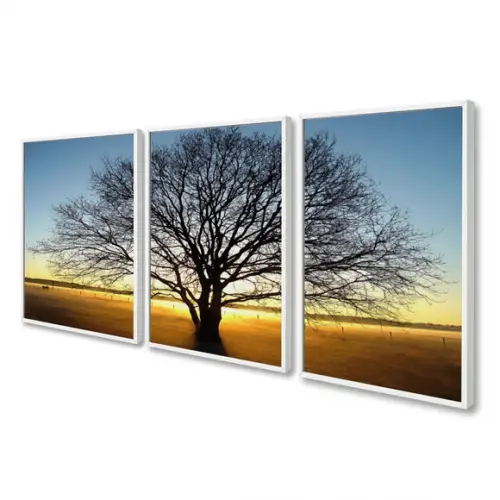 Quadros Decorativos Arvore Galho Paisagem Pôr do Sol Moldura