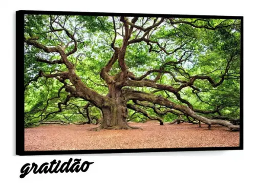 Quadros Decorativos Arvore Folhagem Verde Paisagem Molduras