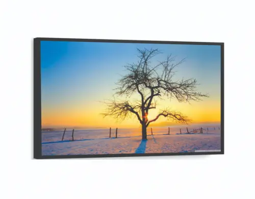 Quadros Decorativos Arvore Paisagem Pôr Do Sol Com Molduras