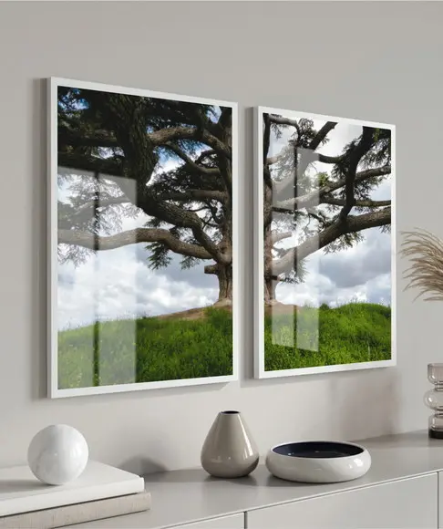 Quadros Decorativos Arvore Verde Folhagem Moldura e Vidro