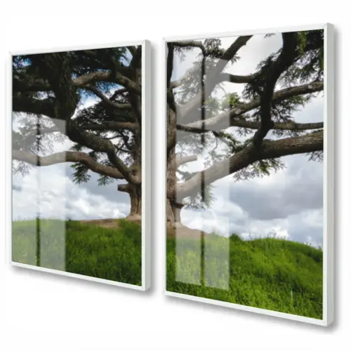 Quadros Decorativos Arvore Verde Folhagem Moldura e Vidro