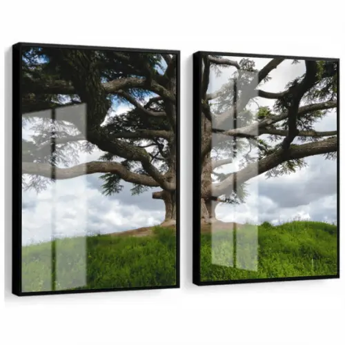 Quadros Decorativos Arvore Verde Paisagem Moldura e Vidro