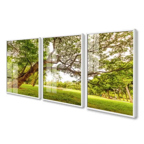 Quadros Decorativos Arvore Verde Paisagem Moldura e Vidro